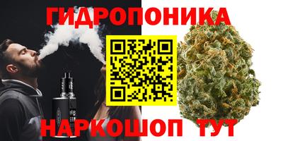 jwh Будённовск