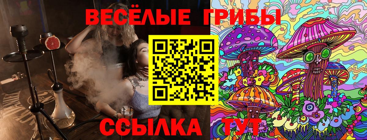 Галлюциногенные грибы мухоморы Кондопога